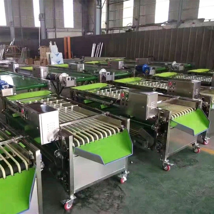date sorting machines
