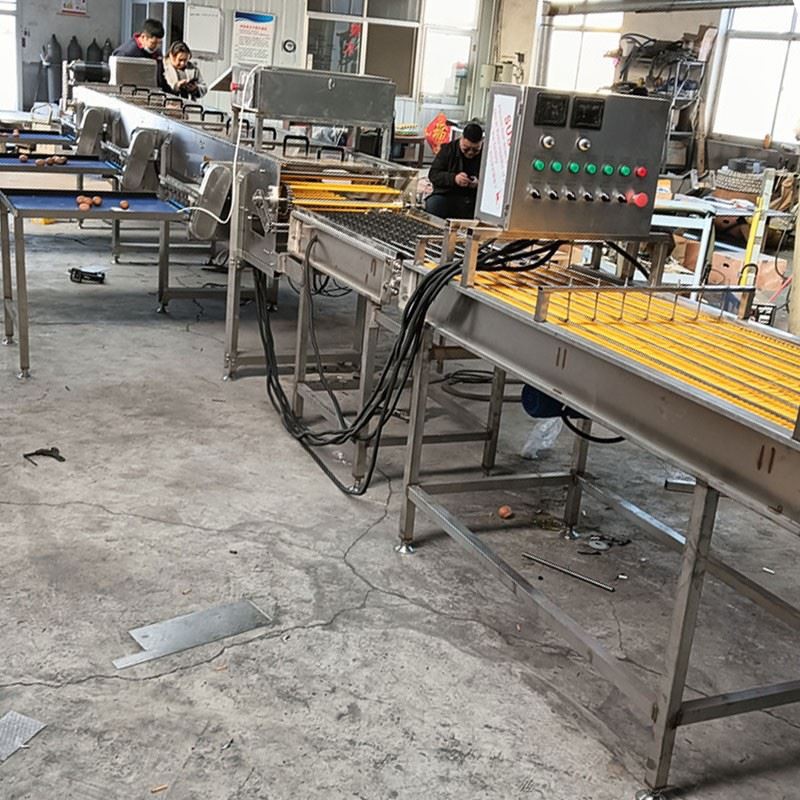 Electronic Egg Sorting Machine suppliers