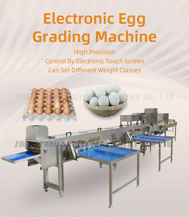 electronic egg sorting machine electronic egg sorting machine