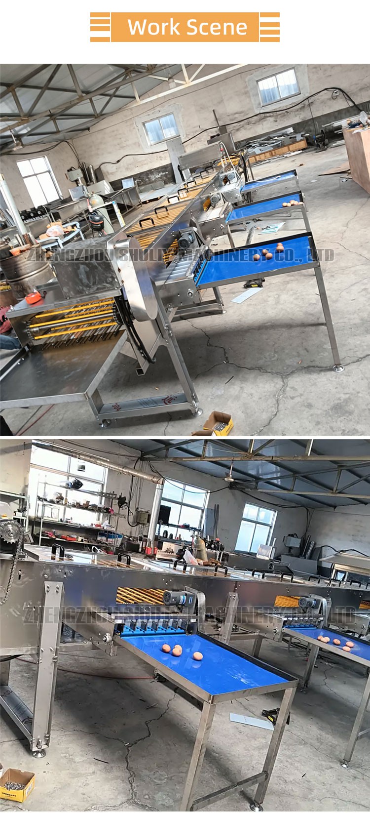 electronic egg sorting machine electronic egg sorting machine