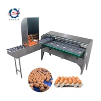 Egg Scale Egg Grader